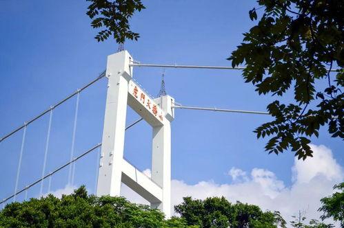 老虎门大桥爆料视频最新,最新爆料视频曝光惊人真相  第2张 老虎门大桥爆料视频最新,最新爆料视频曝光惊人真相  第2张