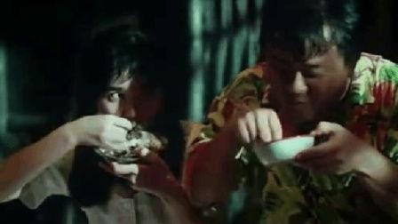 打真军电影在线观看,巅峰对决,在线观影揭秘