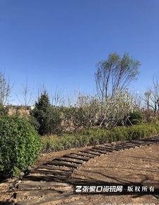 张家口公园爆料视频,揭秘公园里的惊人秘密  第2张 张家口公园爆料视频,揭秘公园里的惊人秘密  第2张