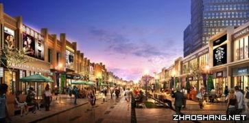 双流步行街爆料视频大全,街头风云,一网打尽