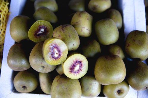 西昌的瓜最新爆料,揭秘最新瓜种传奇  第3张 西昌的瓜最新爆料,揭秘最新瓜种传奇  第3张