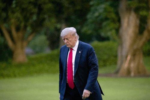 特朗普后院爆料视频播放,一场意想不到的幕后风波  第2张 特朗普后院爆料视频播放,一场意想不到的幕后风波  第2张