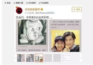 卓伟新爆料文章大全最新,揭秘娱乐圈最新猛料,独家揭秘明星幕后故事