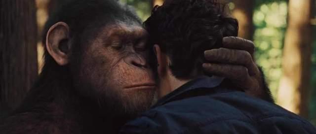 猩球崛起4在线观看,终极之战在线观影指南:揭秘猿类革命的高潮篇章