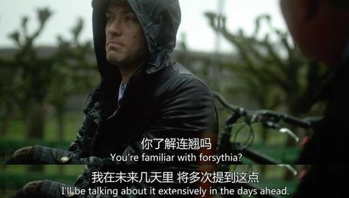 韩美最新爆料电影大全免费观看,免费观影盛宴,尽享视听盛宴