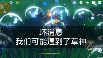 关于草神爆料的视频素材,视频素材揭示神秘生物真实面貌  第3张 关于草神爆料的视频素材,视频素材揭示神秘生物真实面貌  第3张