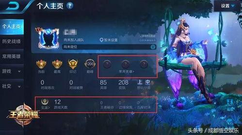 王者师叔爆料视频下载,深度解析游戏内幕与精彩瞬间  第3张 王者师叔爆料视频下载,深度解析游戏内幕与精彩瞬间  第3张