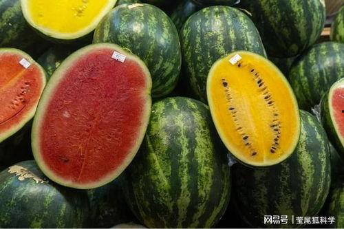 安溪网红吃瓜事件真相,真相背后的网络风波  第3张 安溪网红吃瓜事件真相,真相背后的网络风波  第3张