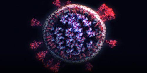 新冠源头爆料最新,最新爆料揭示病毒起源之谜  第3张 新冠源头爆料最新,最新爆料揭示病毒起源之谜  第3张