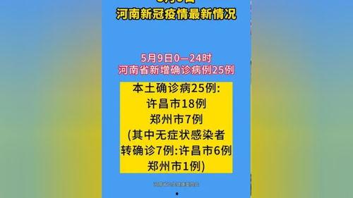 河南最新的爆料新闻报道,揭秘某重大事件背后真相  第3张