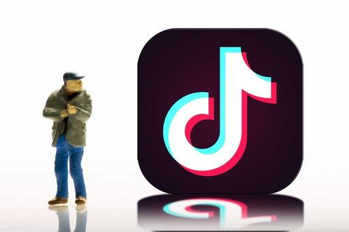 抖音爆料金吉鸟视频,金吉鸟视频背后的精彩故事  第2张 抖音爆料金吉鸟视频,金吉鸟视频背后的精彩故事  第2张