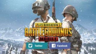 和平精英国际版最新爆料,神秘新内容即将揭晓,战火升级再掀热潮!