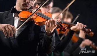 光遇最新小提琴爆料,神秘小提琴揭秘,探寻音乐与梦境的奇妙之旅