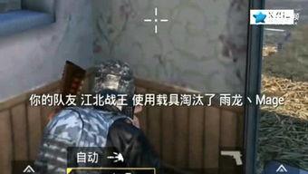 壮哥爆料吃鸡视频播放,精彩瞬间回顾,带你领略绝地求生魅力