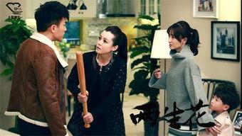 电视剧两生花在线观看全集,穿越时空的爱恋,全集剧情揭秘