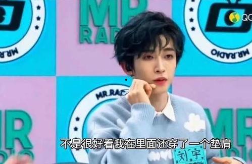 刘宇娱乐爆料视频大全下载,揭秘娱乐圈幕后故事