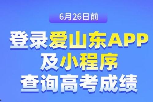 东营新闻爆料电话号码是,守护城市脉搏,倾听民声心声