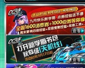 qq飞车礼包车最新爆料,神秘赛车即将亮相,狂欢盛宴即将开启!