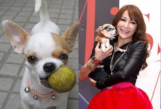 娱乐圈爆料50条狗,揭秘明星背后的狗血故事  第3张 娱乐圈爆料50条狗,揭秘明星背后的狗血故事  第3张