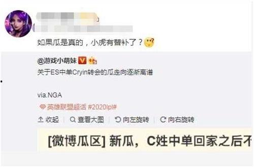 圈内大佬爆料小虎完整版,小虎完整版爆料内幕大起底  第2张 圈内大佬爆料小虎完整版,小虎完整版爆料内幕大起底  第2张