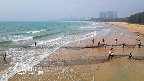 海南赶海爆料视频大全,揭秘海洋宝藏的奇妙之旅  第2张 海南赶海爆料视频大全,揭秘海洋宝藏的奇妙之旅  第2张