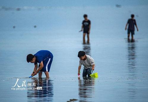 海南赶海爆料视频大全,揭秘海洋宝藏的奇妙之旅  第3张 海南赶海爆料视频大全,揭秘海洋宝藏的奇妙之旅  第3张