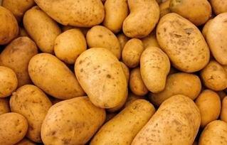 户外土豆爆料怎么做视频,视频制作攻略全解析  第2张 户外土豆爆料怎么做视频,视频制作攻略全解析  第2张