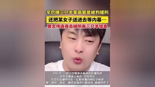 辛巴爆料三只羊内幕原视频,揭秘背后惊人真相  第3张 辛巴爆料三只羊内幕原视频,揭秘背后惊人真相  第3张