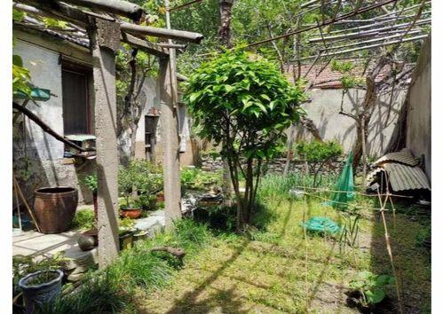 都市爆料石榴树视频下载,揭秘石榴树视频下载背后的秘密  第2张 都市爆料石榴树视频下载,揭秘石榴树视频下载背后的秘密  第2张