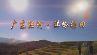 陆河新闻爆料事件最新进展,最新进展揭示惊人内幕  第3张 陆河新闻爆料事件最新进展,最新进展揭示惊人内幕  第3张