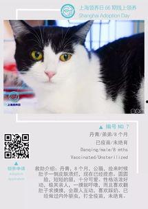 领养在线观看  第2张 领养在线观看  第2张