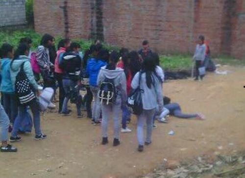 广西宾阳新闻爆料甘棠  第3张 广西宾阳新闻爆料甘棠  第3张