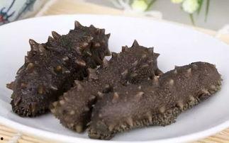 妖怪爆料海参视频在线观看,妖怪爆料视频带你探秘海洋奇观  第3张 妖怪爆料海参视频在线观看,妖怪爆料视频带你探秘海洋奇观  第3张